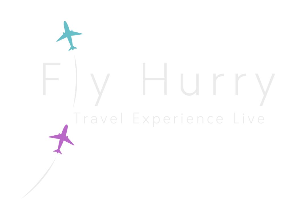 FlyHurry Logo